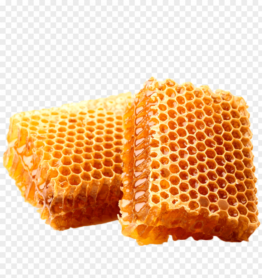 Honeycomb Beehive Stock Photography Beekeeping PNG