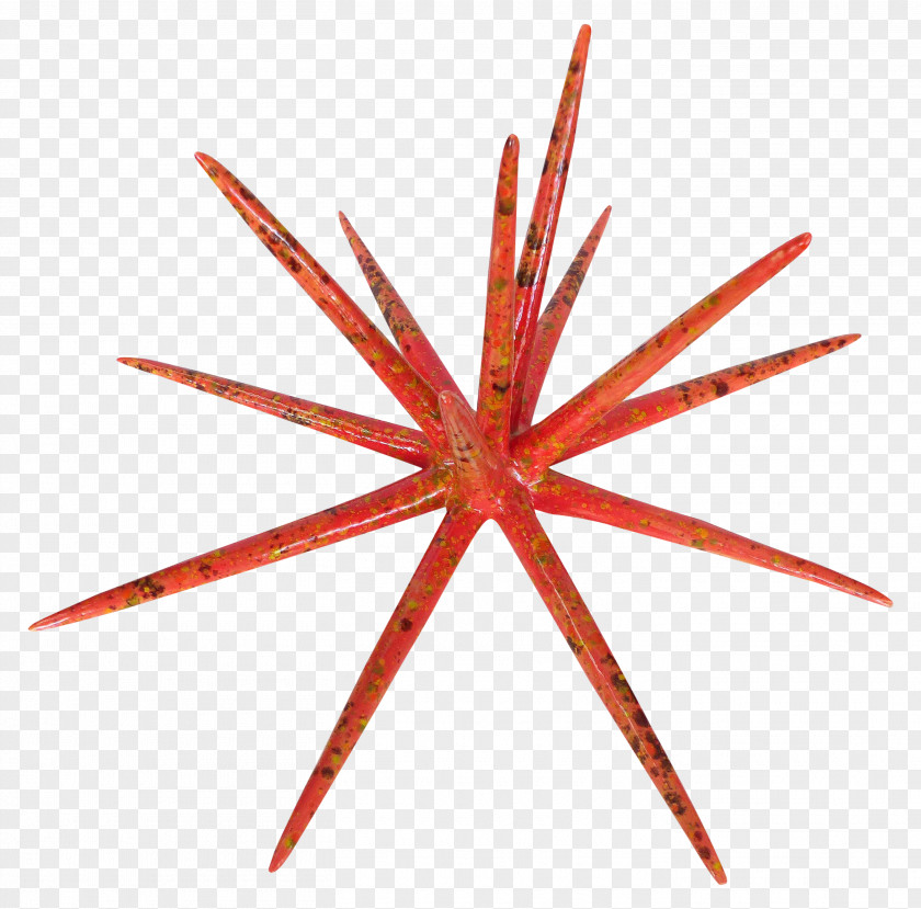 Symmetry Star Red PNG