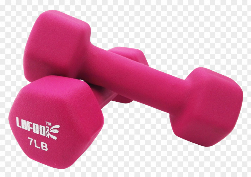 Yoga Dumbbells Dumbbell Physical Exercise Weight Training PNG