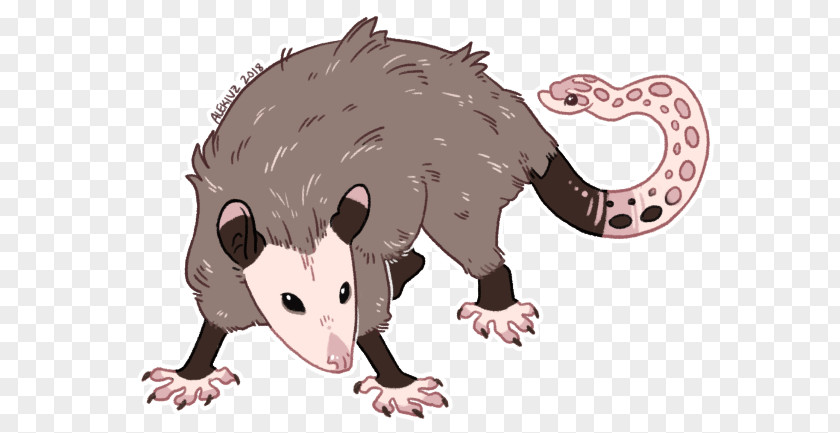 Mouse Common Opossum Virginia Snout PNG