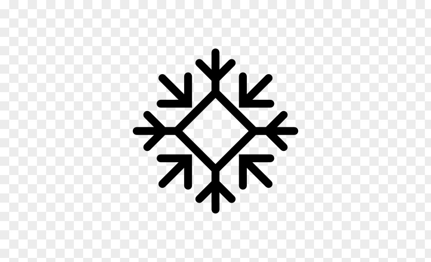Snowflake Ice Crystals Flake PNG