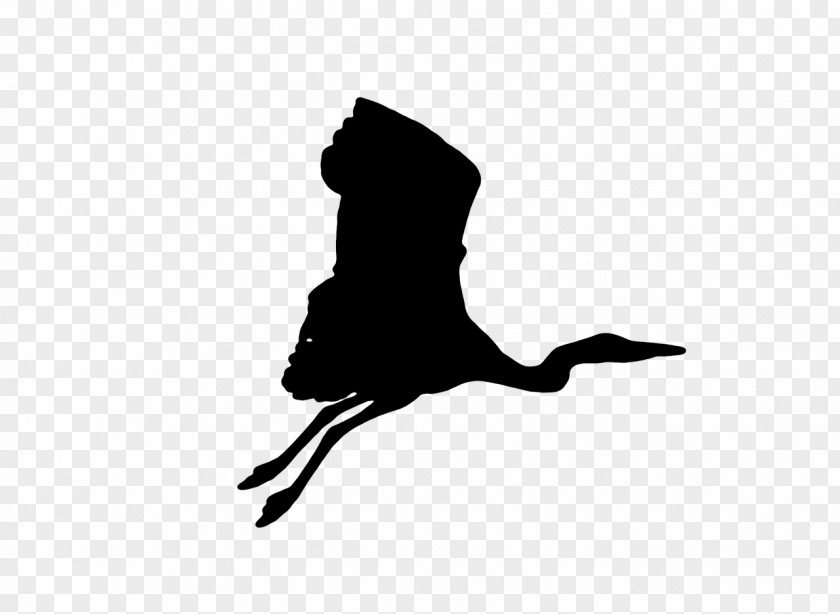 Crane Bird Silhouette PNG