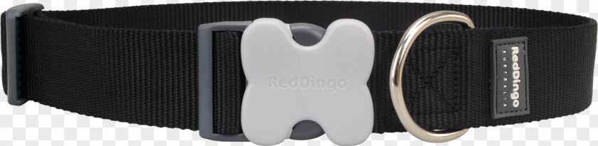 Dog Collar Dingo Fashion PNG