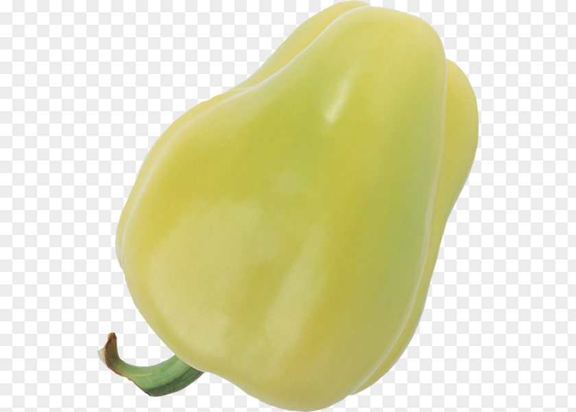 Habanero Yellow Pepper Chili Bell Clip Art PNG