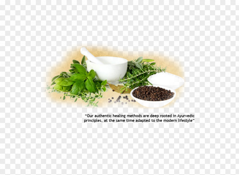 Health Herbalism Ayurveda Disease PNG