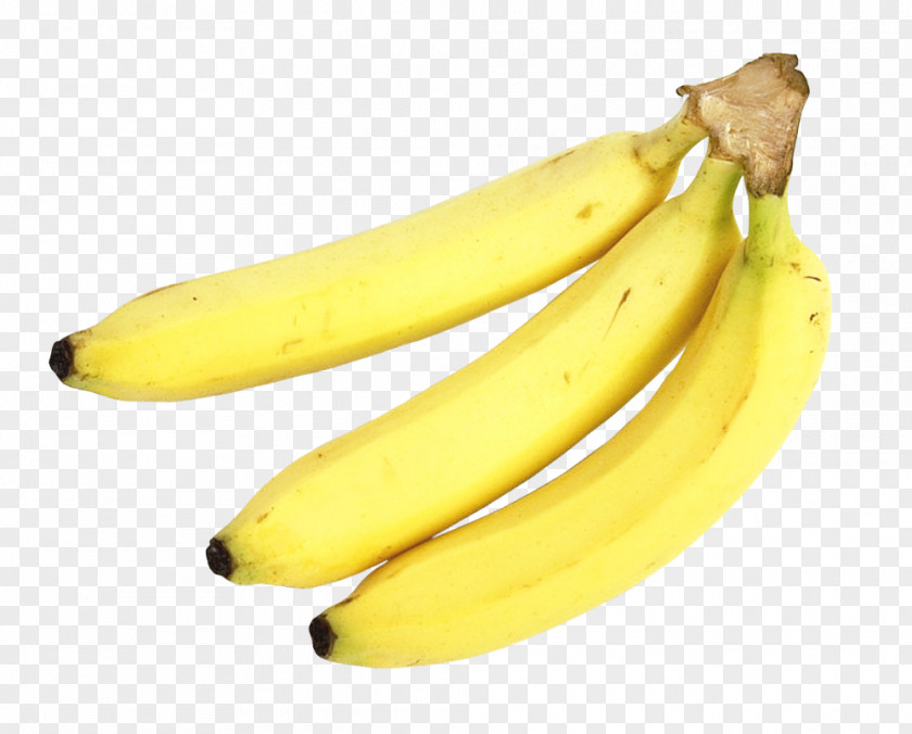 Banana Saba Fruit PNG