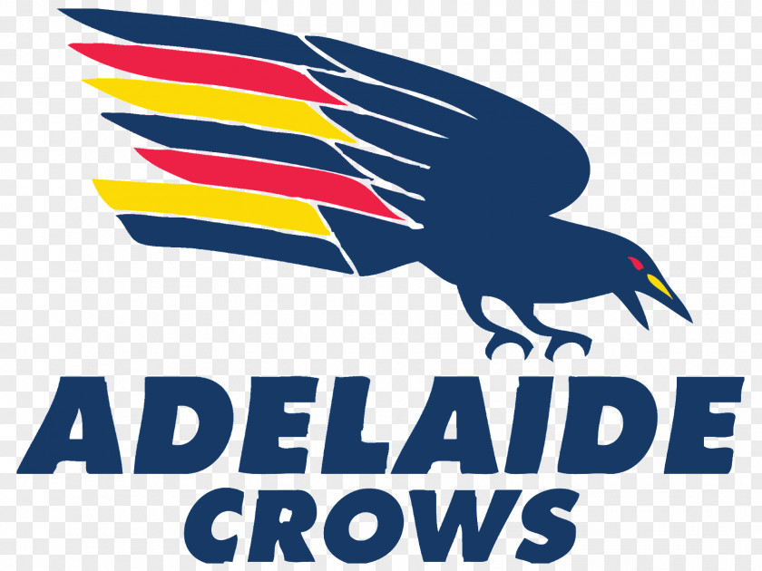 Crow Football Park Adelaide Club Australian League Sydney Swans Essendon PNG