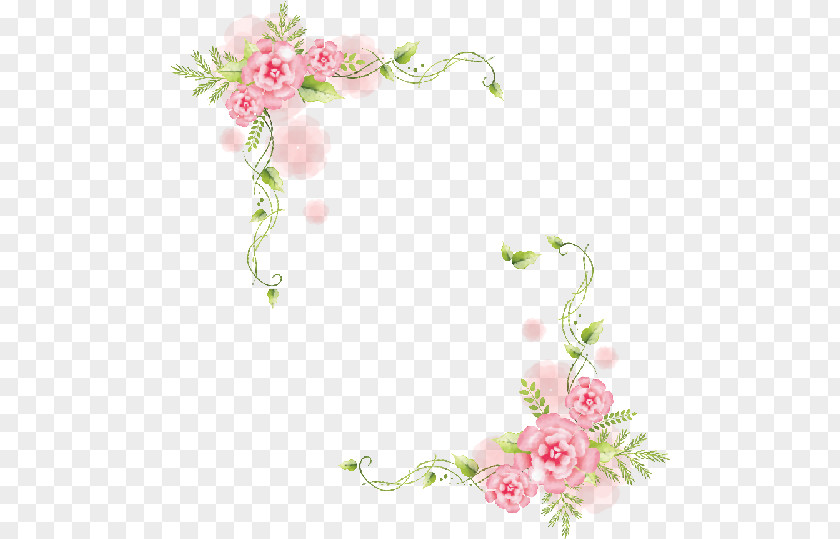 Flower Garland Picture Frames Photography PNG