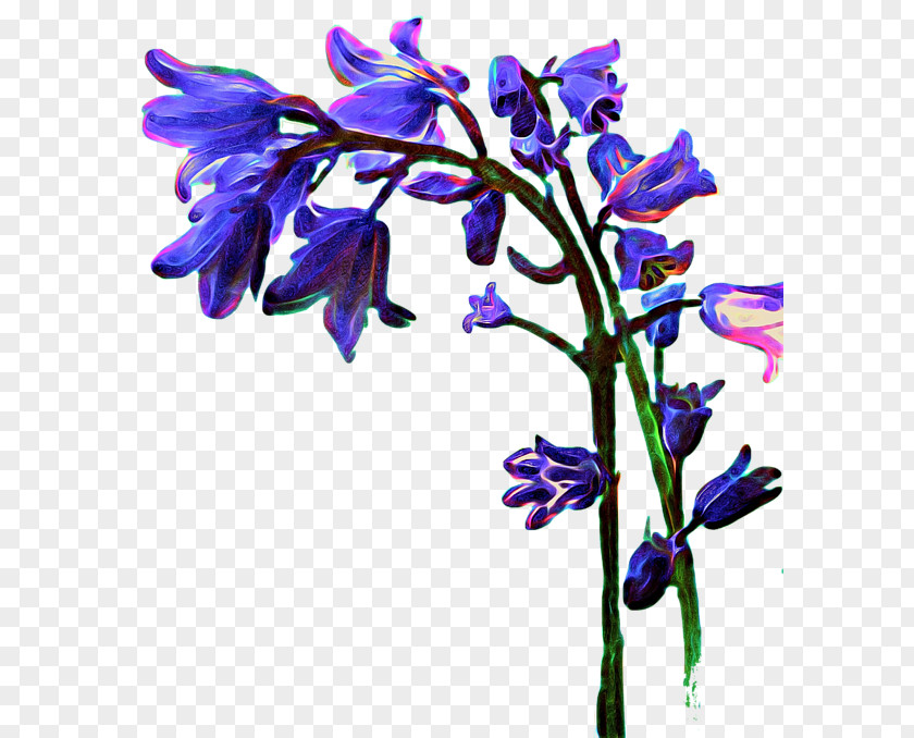 Bluebells Lavender Cut Flowers Floral Design Violet PNG