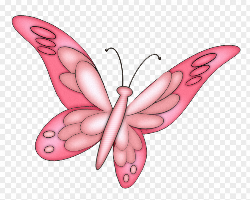 Butterfly Monarch Drawing PNG