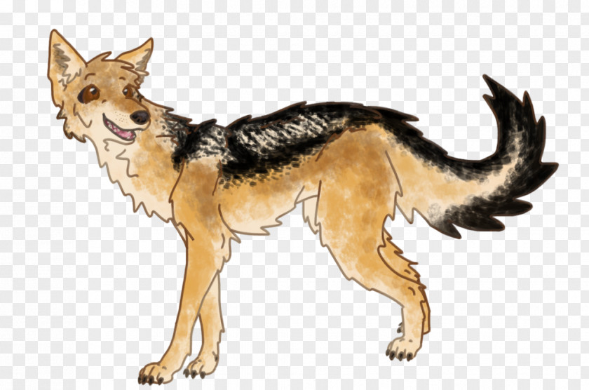 Dog Breed Red Fox Coyote Jackal PNG
