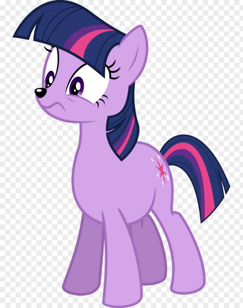 Kangaroo Twilight Sparkle Rainbow Dash My Little Pony The Saga PNG