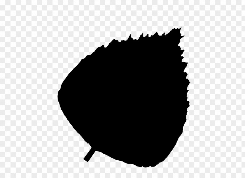 M Leaf Font Line Tree Black & White PNG