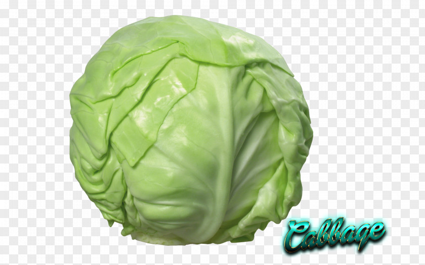 Cabbage Red Cauliflower Savoy Napa PNG