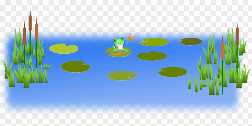 Cattail Pond Clip Art PNG