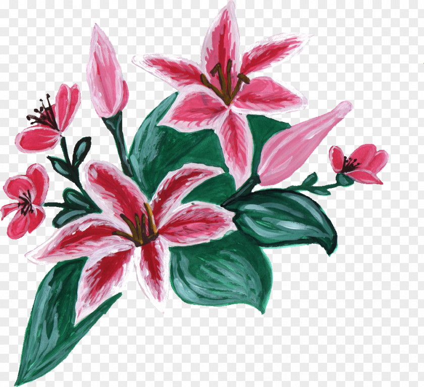 Flower Paint Cut Flowers Lilium Flowering Plant PNG