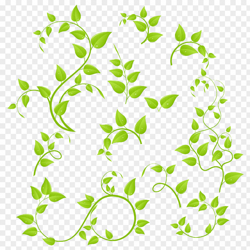 Leaf Branch Clip Art PNG