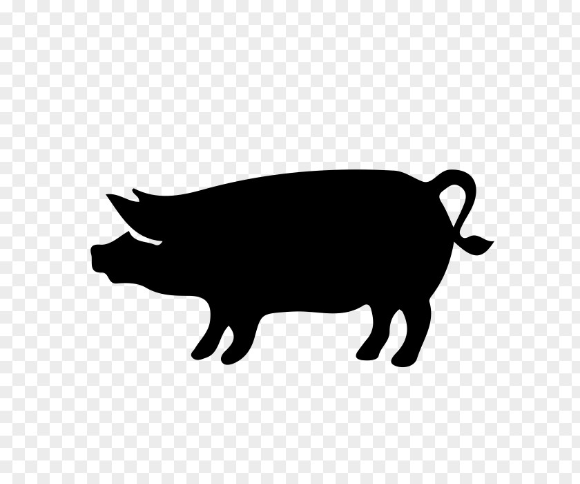 Pig Domestic Ribs Ham PNG