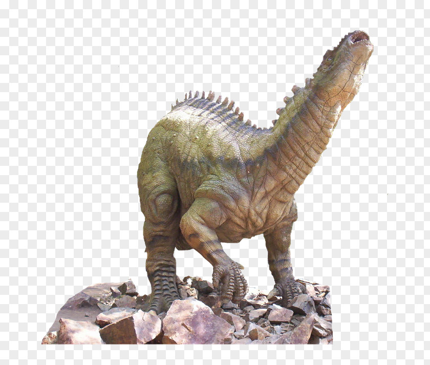 Dinosaurs Tyrannosaurus Dinosaur Velociraptor Animal Clip Art PNG