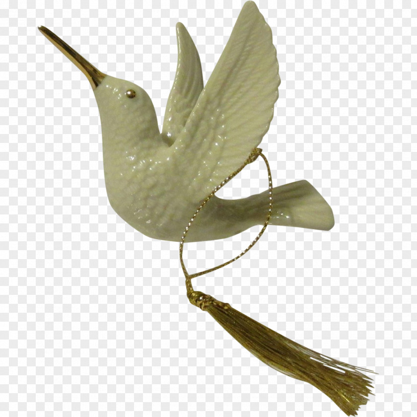 Hummingbird Bird Wren Beak Feather Wing PNG