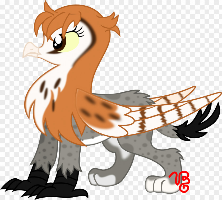 Lynx Owl Rainbow Dash Griffin Bird PNG