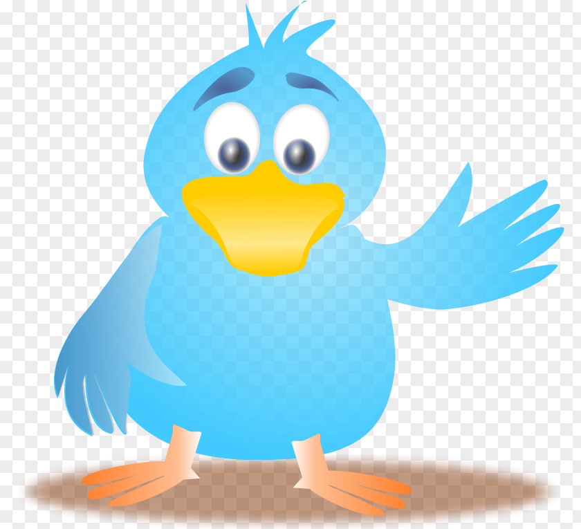 Waving Hello Cliparts Bird Clip Art PNG