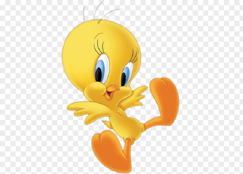 Bird Cartoon Tweety Daffy Duck Clip Art PNG