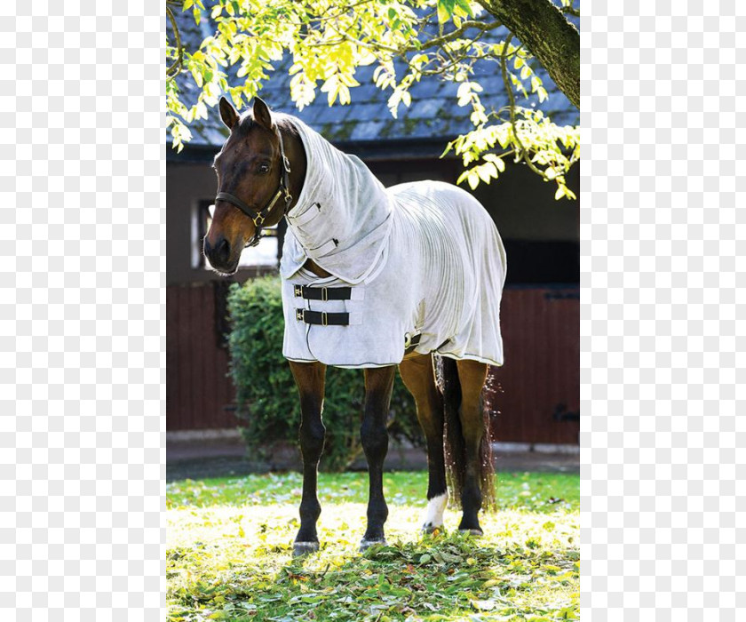Horse Carpet Blanket Equestrian Olsons Tack Shop PNG