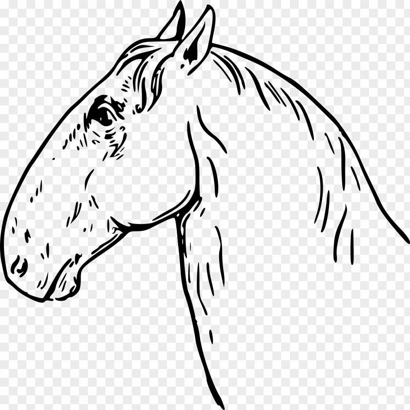 Horse Clip Art PNG