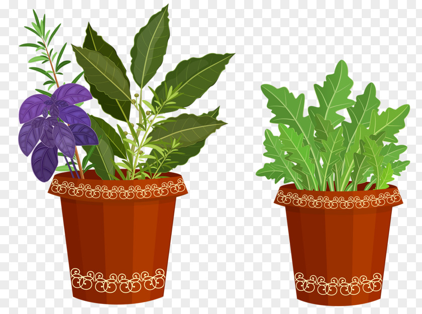 Plants Clip Art Flowerpot Ornamental Plant Openclipart PNG