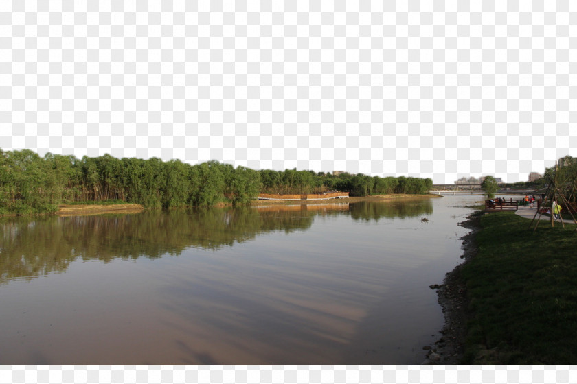 The Green Landscape Of River Bank PNG