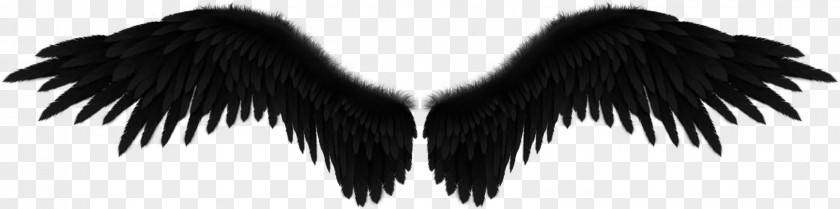 Angel Fallen Wing Black PNG