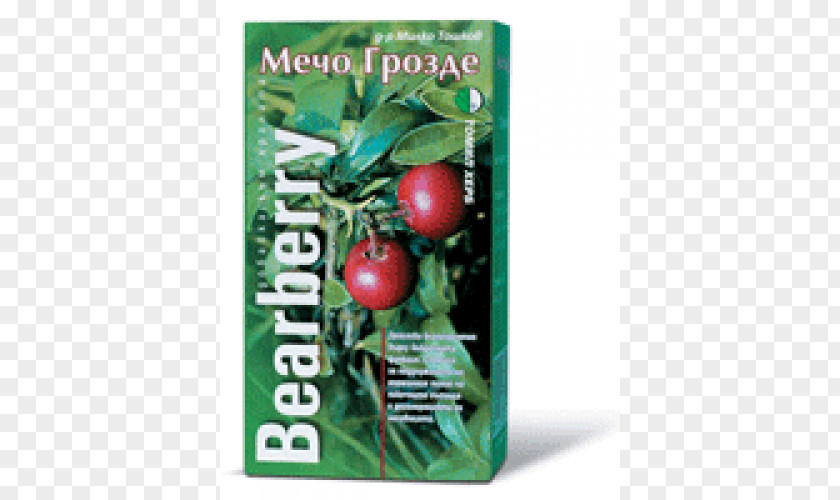 Bearberry Herbalism Food Dietary Supplement PNG