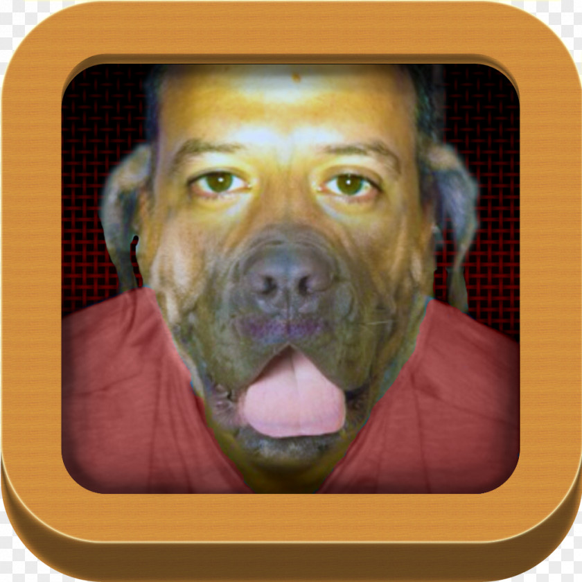 Dog Breed Snout PNG