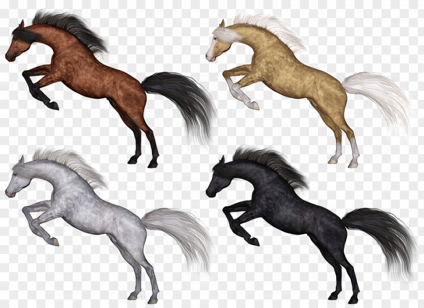 Mare Tail Horse Cartoon PNG