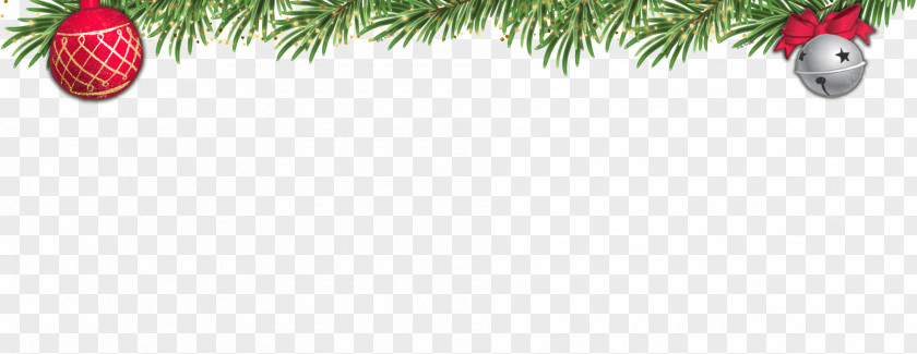 Meijer Logo Christmas Tree Fir Ornament PNG