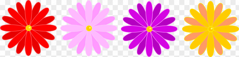 Multicolor Flower Common Daisy Clip Art PNG