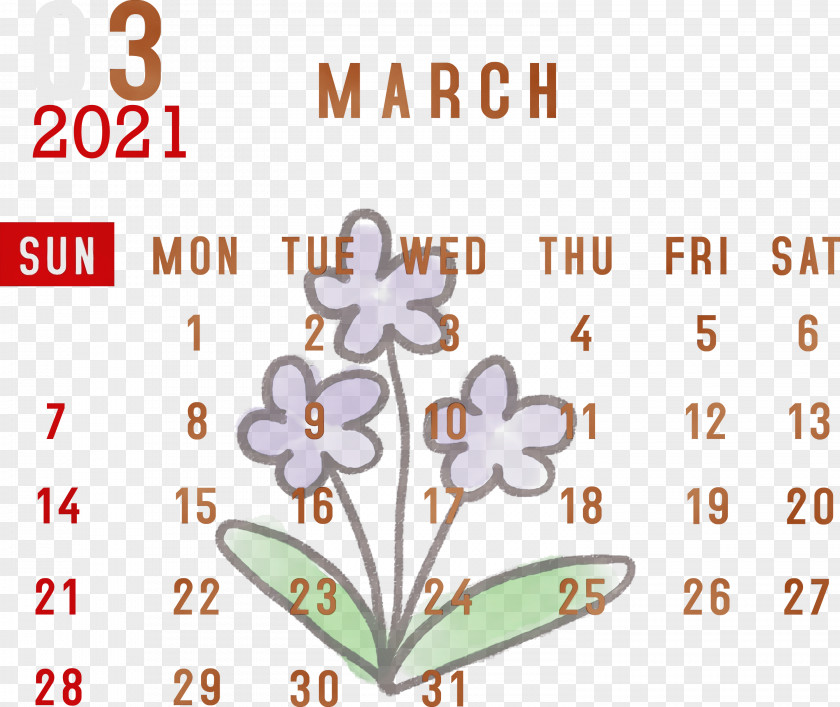 Petal Font Meter Flower Line PNG