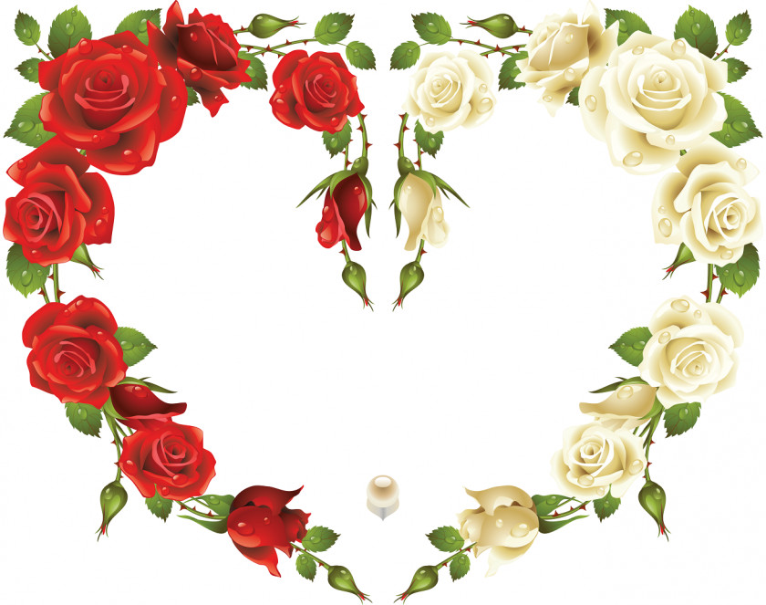8 Rose Picture Frames Stock Photography PNG