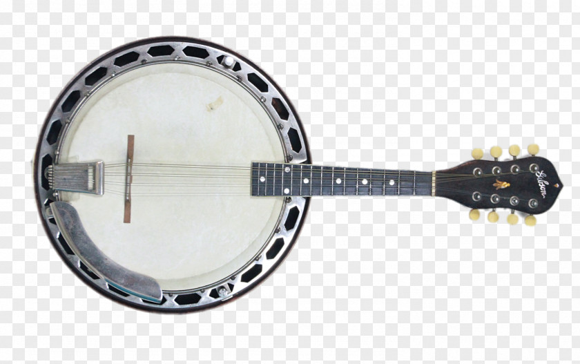 Banjo Guitar Ukulele Uke Mandolin-banjo PNG