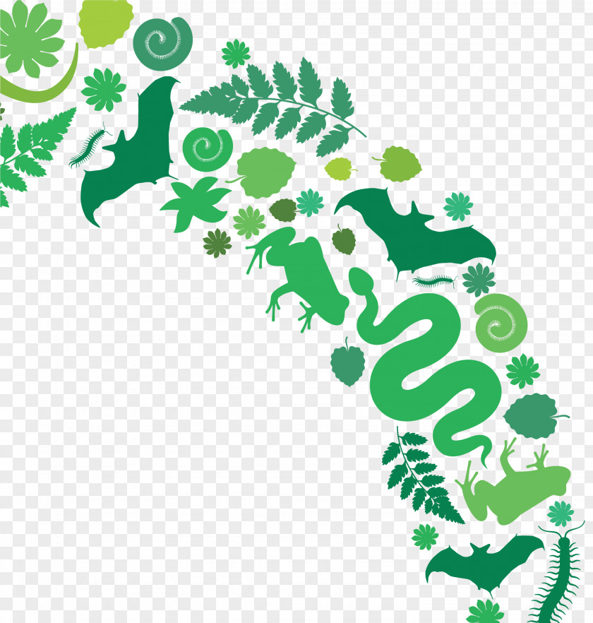 Green Planet The Dubai Sloth Education Clip Art PNG