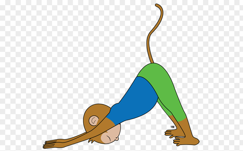 Line Yoga Monkey Kids: Beginner Poses Mammal Clip Art PNG
