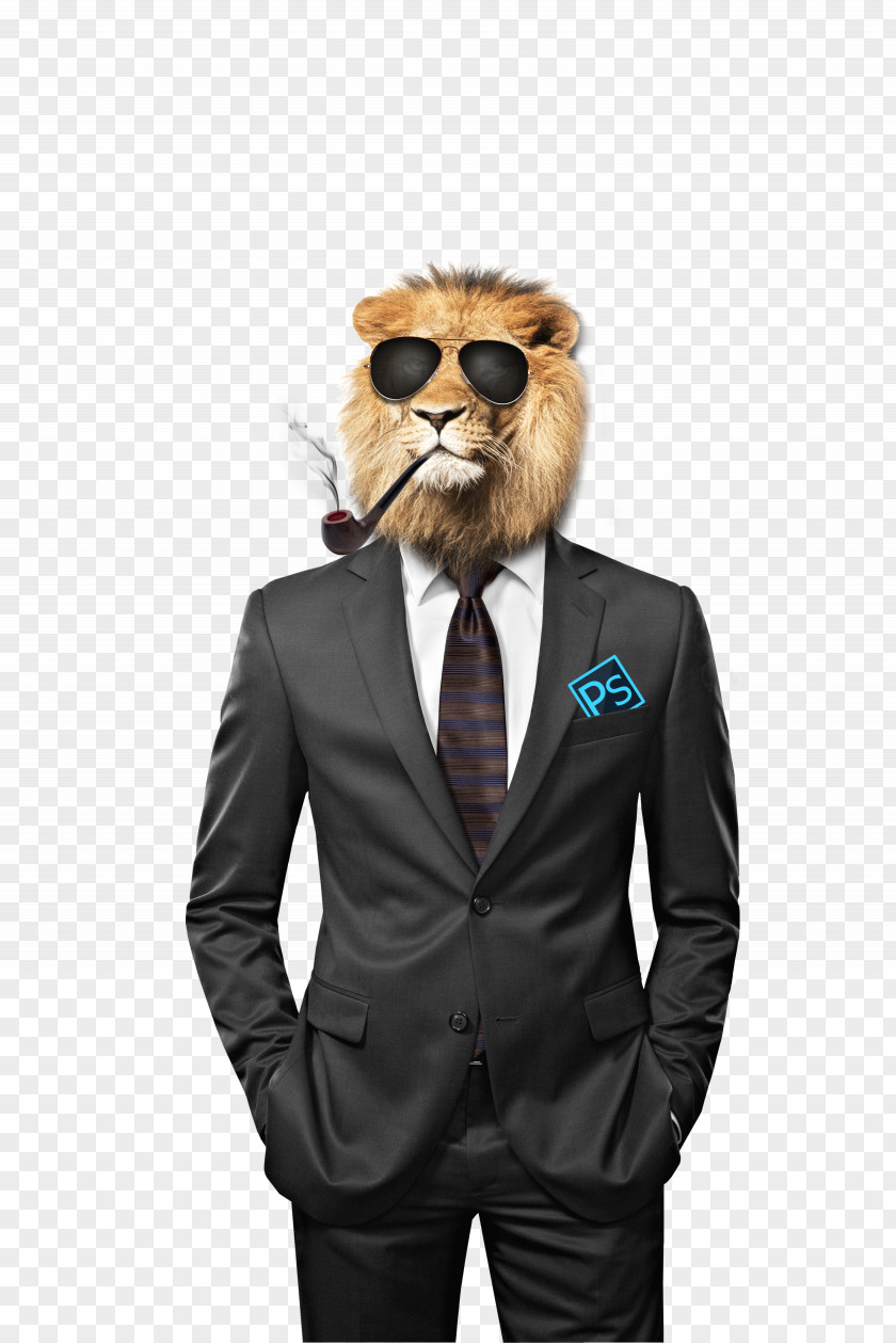 Lion Head Funny Illustrations PNG head funny illustrations clipart PNG