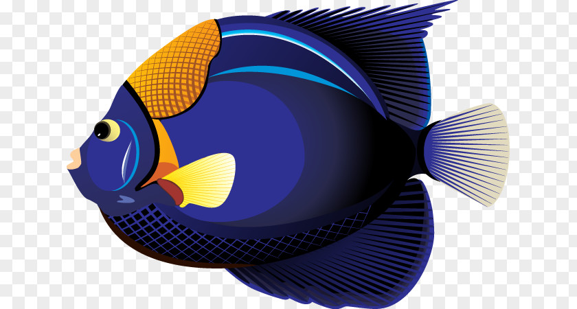 Tropical Fish Cliparts Goldfish Clip Art PNG