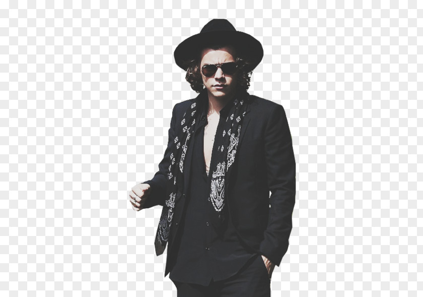 Catwoman Anne Hathaway Harry Styles Male Black And White One Direction Thing PNG