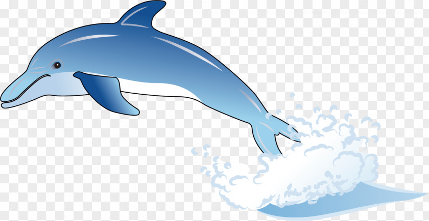 Dolphin Material Common Bottlenose Wholphin Tucuxi Cartoon PNG