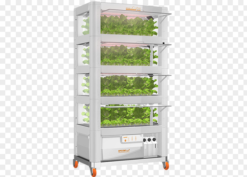 Hydroponic Shelf Food Warmer Display Case PNG