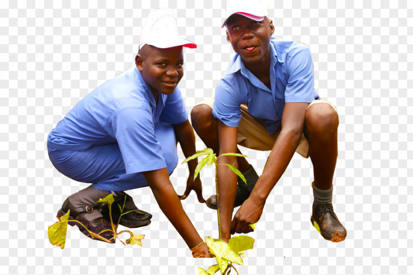 Students Cleaning Recreation Leisure Job Shoe PNG