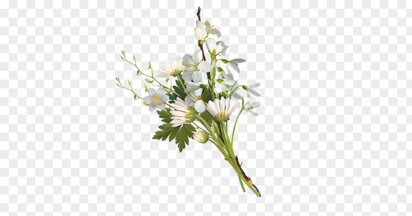 Transparent Flowers Bouquet White Image Nosegay Green PNG