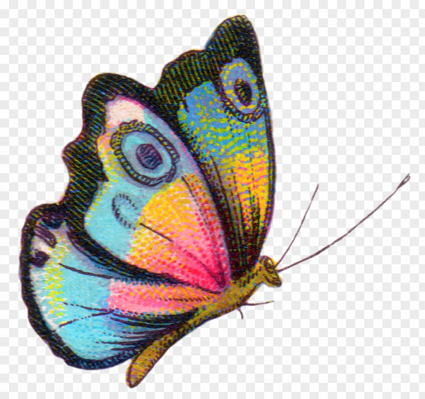 Watercolor Butterfly Royalty-free Clip Art PNG